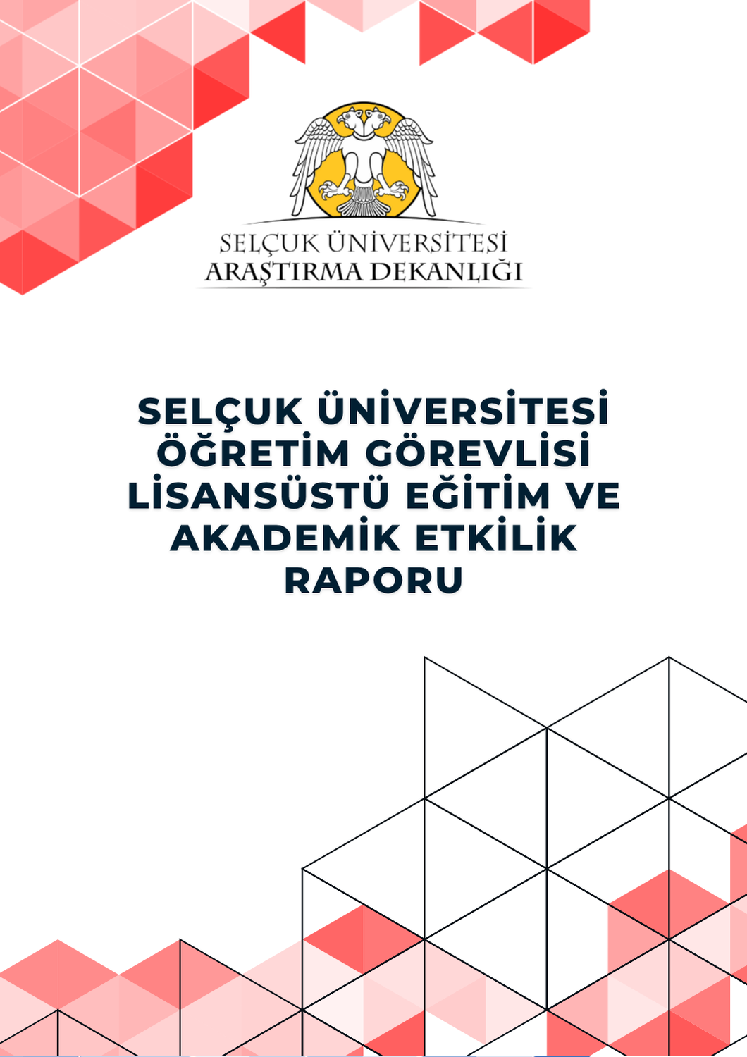 Selçuk Üniversitesi Öğretim Görevlisi Lisansüstü Eğitim Ve Akademik Etkilik Raporu